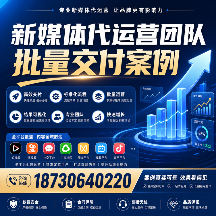 石家庄代运营公司多客户账号批量高效交付案例